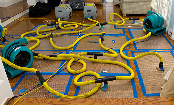 Professional Structural Drying And Dehumidification technician working in Steen, MN